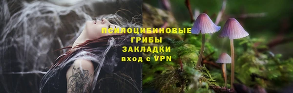 винт Бородино