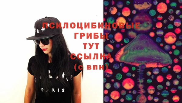 винт Бородино