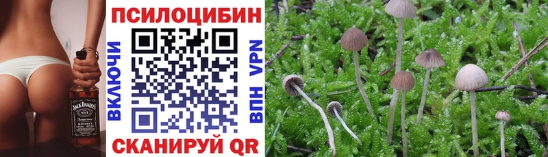 Галлюциногенные грибы ЛСД  купить наркоту  Подольск 